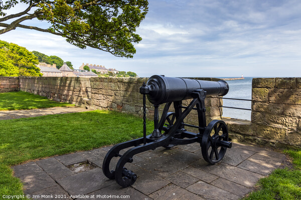 The Old Cannon, Berwick Upon Tweed Picture Board by Jim Monk