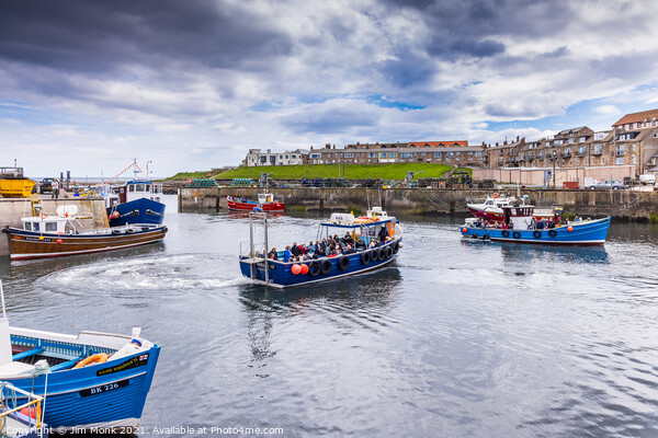 Seahouses Harbour Picture Board by Jim Monk