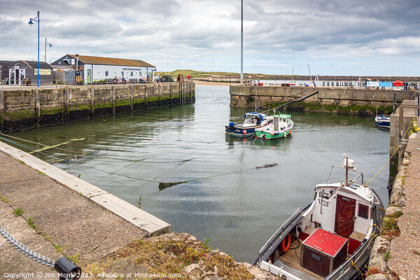 Amble Harbour, Northumberland Picture Board by Jim Monk