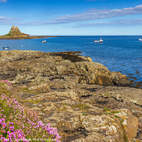 Buy canvas prints of Across the harbour to Lindisfarne Castle  by Jim Monk