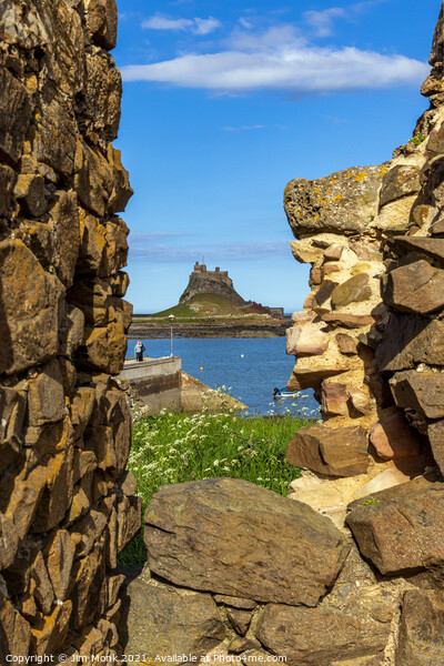 Lindisfarne Castle through the wall Picture Board by Jim Monk