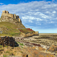 Buy canvas prints of Lindisfarne Castle, Northumberland Coast by Jim Monk