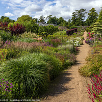 Buy canvas prints of Cambo Gardens, Fife by Jim Monk