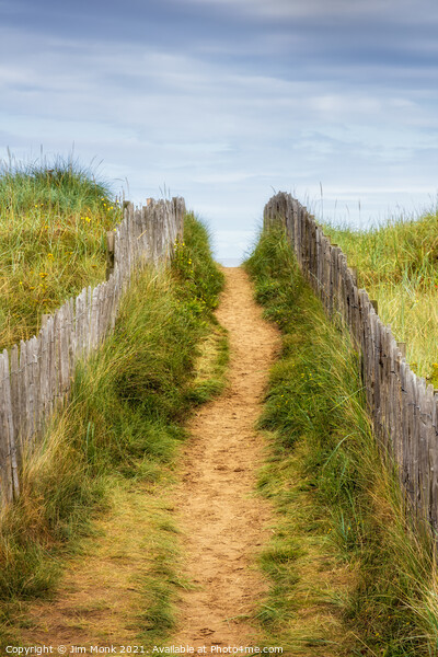 Path to the beach, St Andrews Picture Board by Jim Monk