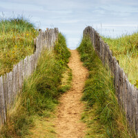 Buy canvas prints of Path to the beach, St Andrews by Jim Monk