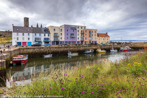 Harbour View, St Andrews  Picture Board by Jim Monk