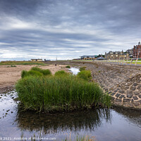 Buy canvas prints of West Sands Embankment, St Andrews  by Jim Monk