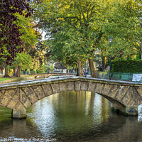Buy canvas prints of River Windrush in Bourton-On-The-Water by Jim Monk