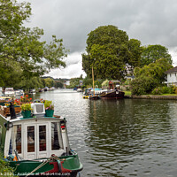 Buy canvas prints of Houseboats at Henley by Jim Monk