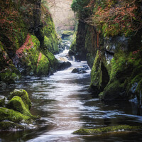 Buy canvas prints of The Fairy Glen by Jim Monk