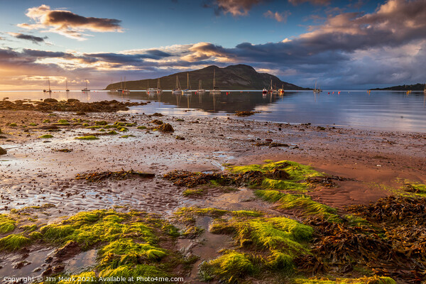 Lamlash Bay, Isle Of Arran Picture Board by Jim Monk