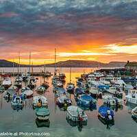 Buy canvas prints of  Sunrise at Lyme Regis Harbour by Jim Monk