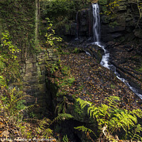 Buy canvas prints of Lumsdale Falls in Derbyshire by Jim Monk