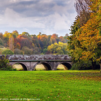 Buy canvas prints of Bridge over the Stour in Blandford Forum by Jim Monk