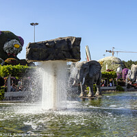Buy canvas prints of Elephant Fountain, Dubai Miracle Garden by Jim Monk