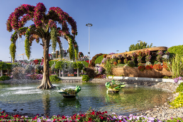 Dubai Miracle Garden Picture Board by Jim Monk