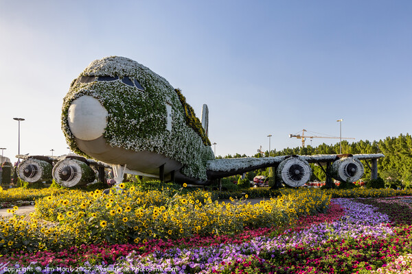 Dubai Miracle Garden, UAE. Picture Board by Jim Monk