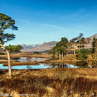 Buy canvas prints of Loch Tulla morning by Jim Monk