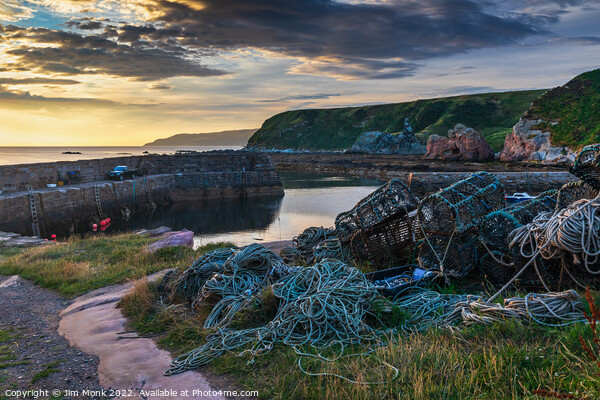 Cove Harbour, Scottish Borders Picture Board by Jim Monk