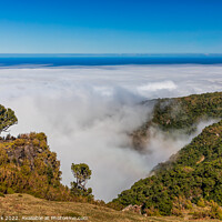 Buy canvas prints of Above The Clouds, Madeira by Jim Monk