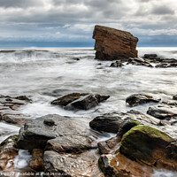 Buy canvas prints of Charlies Garden, Collywell Bay by Jim Monk