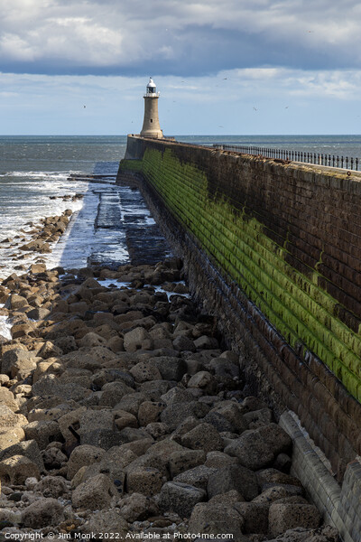 Tynemouth Pier and Lighthouse Picture Board by Jim Monk