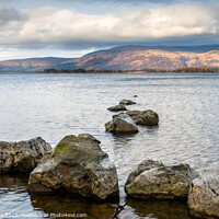 Buy canvas prints of Milarrochy Bay Rocks,  Loch Lomond  by Jim Monk