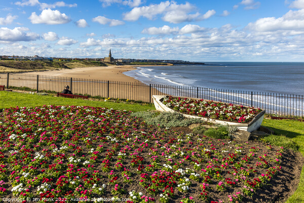 Sharpness Point View, Tynemouth Picture Board by Jim Monk