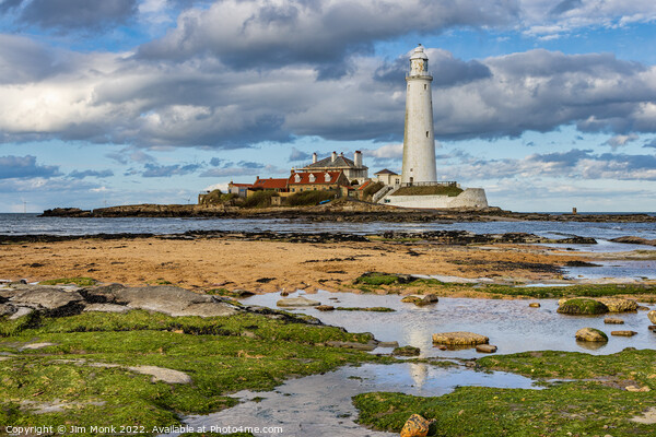 St Mary's Lighthouse, Whitley Bay Picture Board by Jim Monk