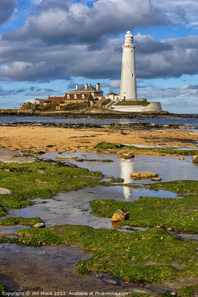 St Marys Lighthouse Whitley Bay Picture Board by Jim Monk