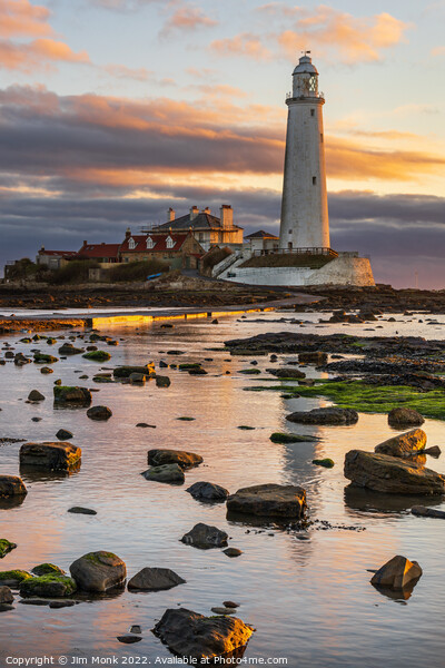 Sunrise at St Mary's Lighthouse. Picture Board by Jim Monk