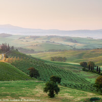 Buy canvas prints of Morning Light Over Podere Belvedere, Tuscany by Jim Monk