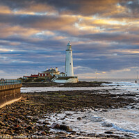 Buy canvas prints of St Mary's Island and Lighthouse by Jim Monk