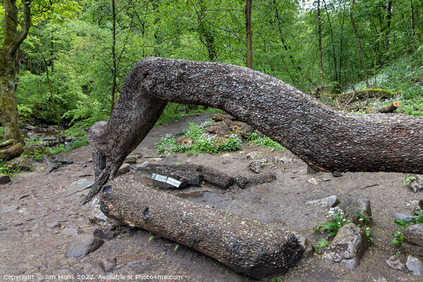 The Money Tree, Yorkshire Dales Picture Board by Jim Monk