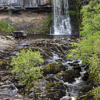 Buy canvas prints of Thornton Force Waterfall by Jim Monk