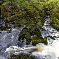 Buy canvas prints of River Doe, Ingleton Waterfalls Trail by Jim Monk