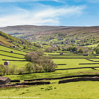 Buy canvas prints of Swaledale View by Jim Monk