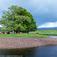 Buy canvas prints of River Ure, Hawes by Jim Monk