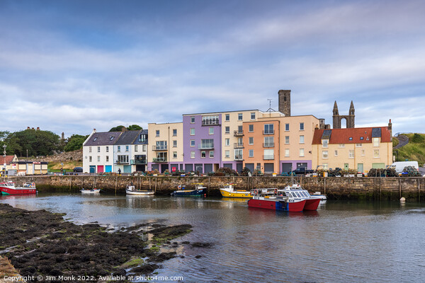 St Andrews Harbour, East Neuk of Fife Picture Board by Jim Monk