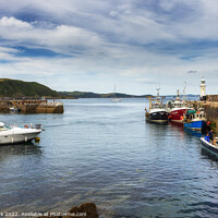 Buy canvas prints of Harbour View, Mevagissey  by Jim Monk