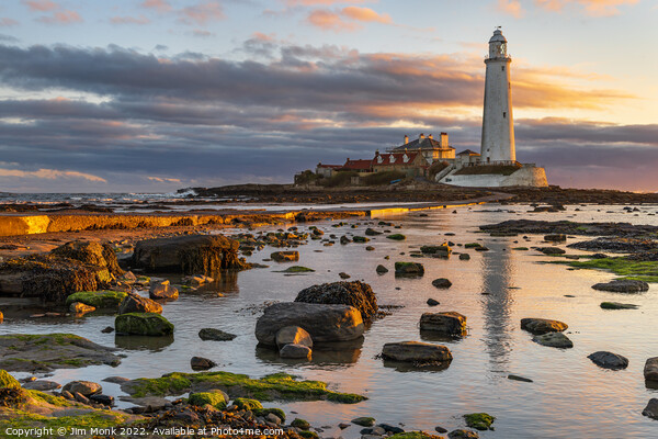Sunrise at St Marys Lighthouse Picture Board by Jim Monk