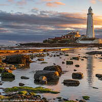 Buy canvas prints of Sunrise at St Marys Lighthouse by Jim Monk