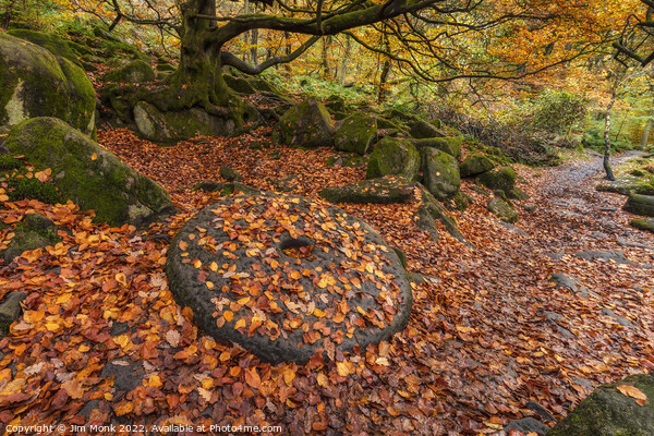 Padley Gorge Millstone Picture Board by Jim Monk
