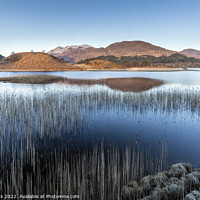 Buy canvas prints of Morning light on Loch Shiel by Jim Monk