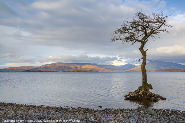 Milarrochy Bay, Loch Lomond  Picture Board by Jim Monk