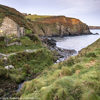 Buy canvas prints of Trefin Mill Ruins, Pembrokeshire by Jim Monk