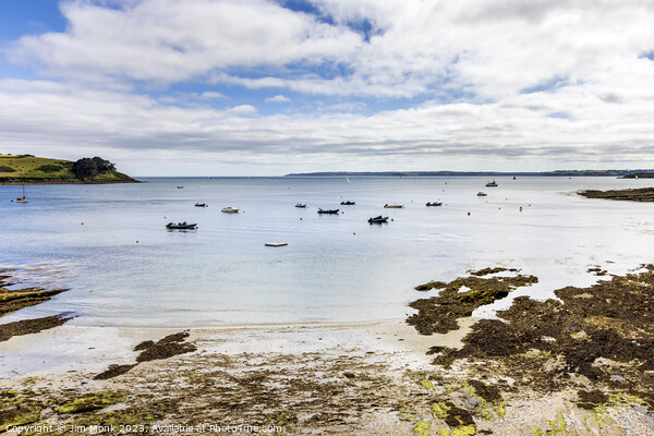 Tavern Beach View, St Mawes Picture Board by Jim Monk