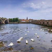 Buy canvas prints of River Tweed Bridges by Jim Monk