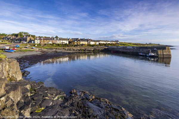 Craster Harbour, Northumberland. Picture Board by Jim Monk