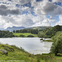Buy canvas prints of Loughrigg Tarn, Lake District by Jim Monk